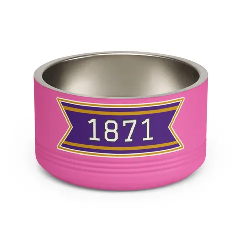 Alcorn 1871 Purple & Gold Academic Pet Bowl — front view