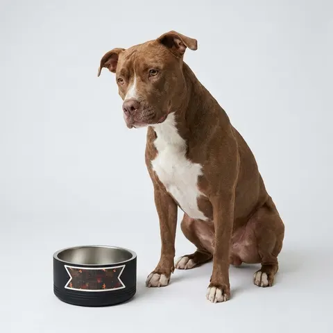 Atlanta Zone 6 Neon Pet Bowl