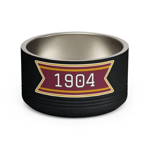 Bethune-Cookman 1904 Maroon & Gold Pet Bowl — front view