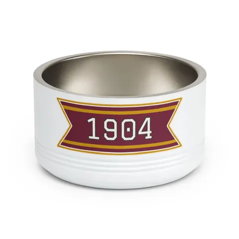 Bethune-Cookman 1904 Maroon & Gold Pet Bowl — front view