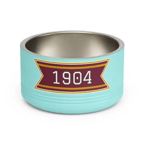 Bethune-Cookman 1904 Maroon & Gold Pet Bowl — front view
