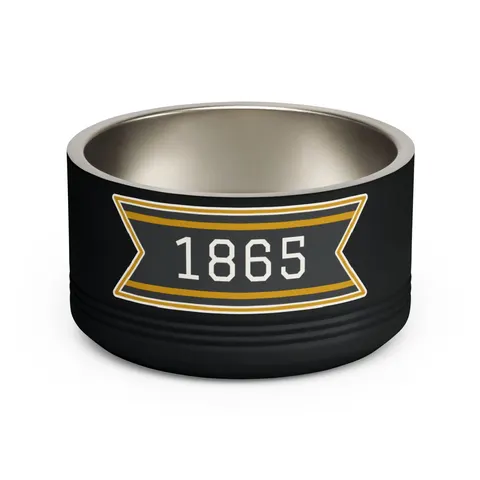 Bowie State 1865 Black & Gold Panel Pet Bowl — front view
