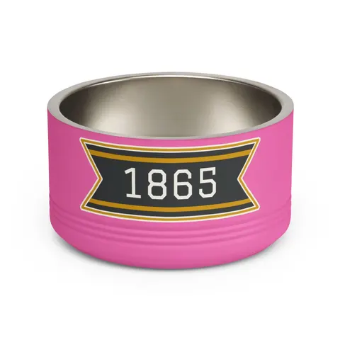 Bowie State 1865 Black & Gold Panel Pet Bowl — front view