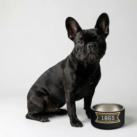 Bowie State 1865 Black & Gold Panel Pet Bowl