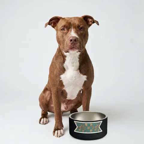 Baltimore Rowhouse Stoops Pet Bowl