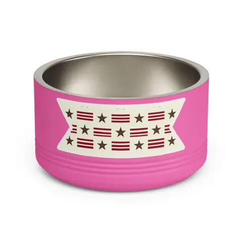 DC Chocolate City Flag Stars Pet Bowl — front view