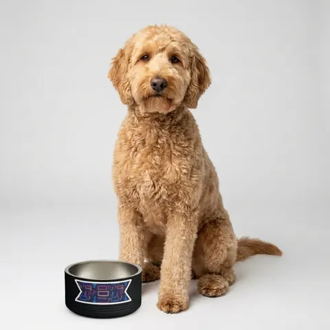 Detroit Motown Neon Pet Bowl