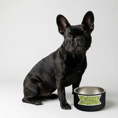 Queens South Jamaica Grid Pet Bowl