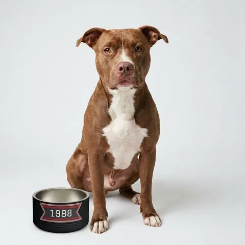 Clark Atlanta 1988 Black & Red Arch Pet Bowl