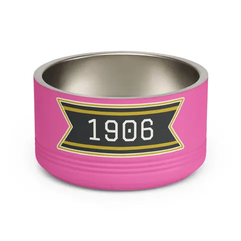 Alpha 1906 Black & Old Gold Pet Bowl — front view