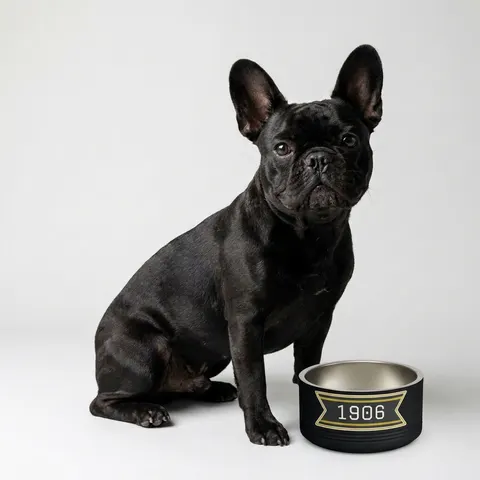 Alpha 1906 Black & Old Gold Pet Bowl
