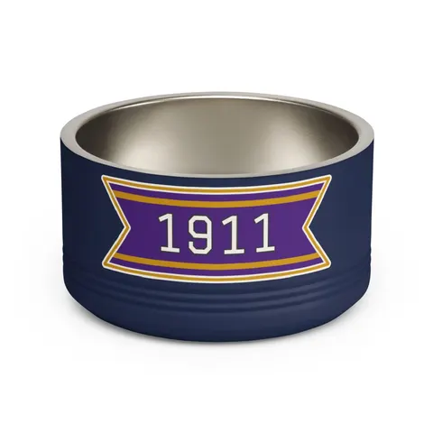 Omega 1911 Purple & Gold Glow Pet Bowl — front view