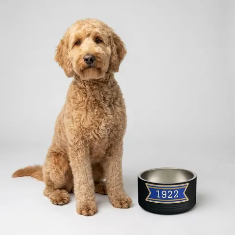 SGRho 1922 Royal Blue & Gold Pet Bowl
