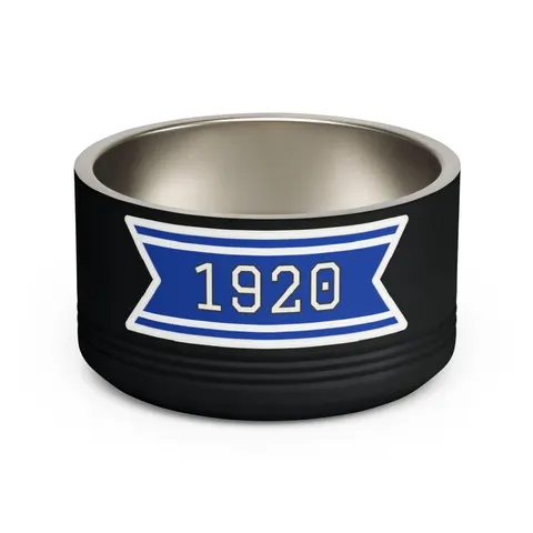 Zeta 1920 Royal Blue & White Pet Bowl — front view