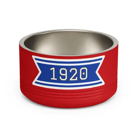 Zeta 1920 Royal Blue & White Pet Bowl — front view