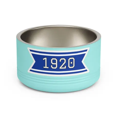 Zeta 1920 Royal Blue & White Pet Bowl — front view