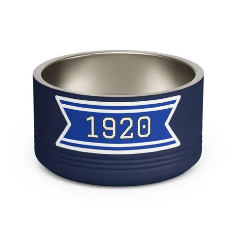 Zeta 1920 Royal Blue & White Pet Bowl — front view