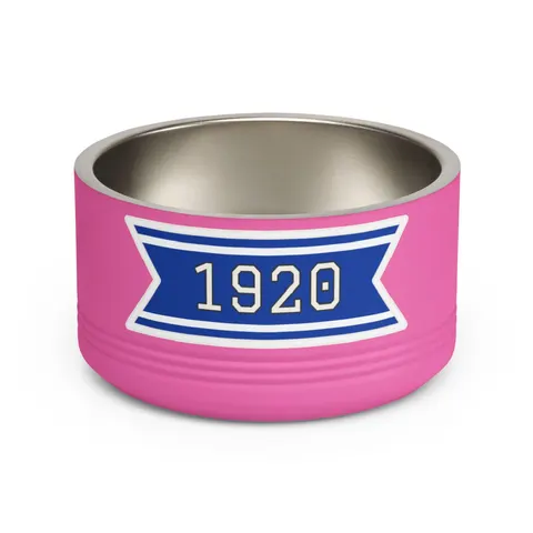 Zeta 1920 Royal Blue & White Pet Bowl — front view