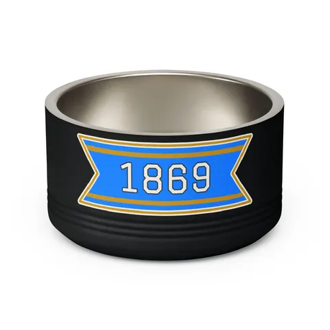 Dillard 1869 Azure & Gold Grid Pet Bowl — back view