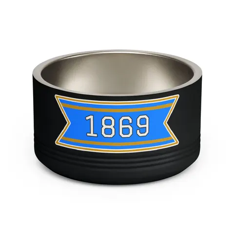 Dillard 1869 Azure & Gold Grid Pet Bowl — front view