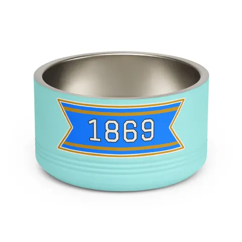 Dillard 1869 Azure & Gold Grid Pet Bowl — front view