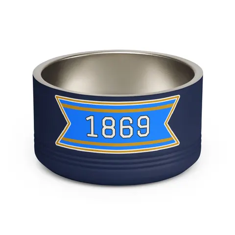 Dillard 1869 Azure & Gold Grid Pet Bowl — front view
