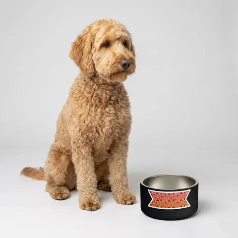 Faith Flag Black Church Sunrise Pet Bowl
