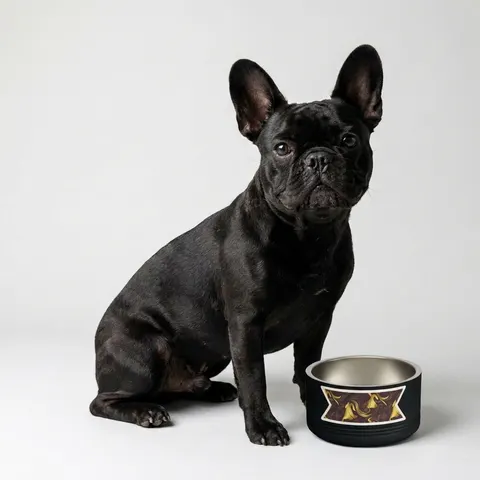 Faith Flag Gospel Choir Robes Pet Bowl