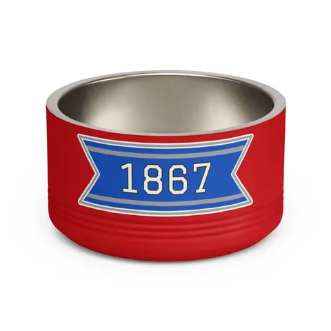 Fayetteville State 1867 Blue & Silver Pet Bowl — front view