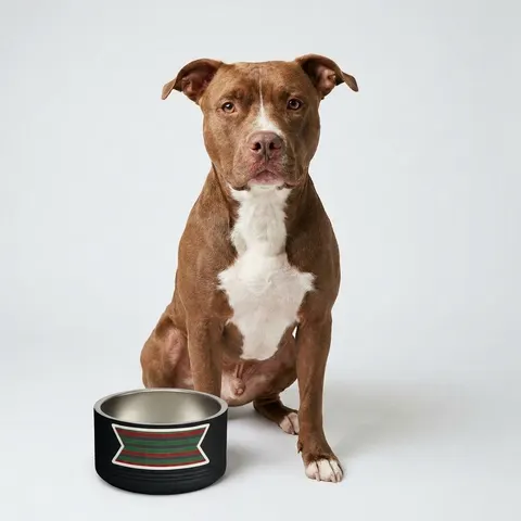 African Diaspora Continent Outline Pet Bowl