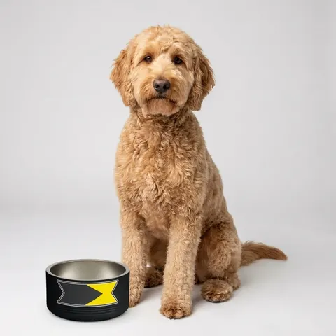 Bahamas Aqua Triangle Pet Bowl