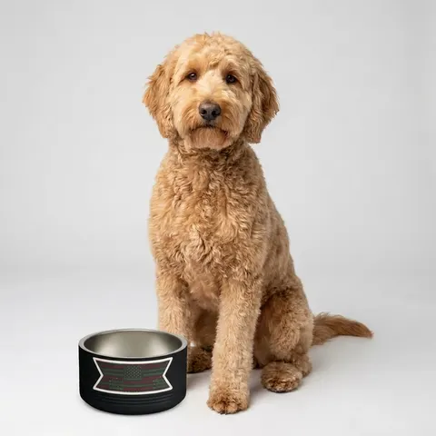 Black American Pan-African Stars & Stripes Pet Bowl