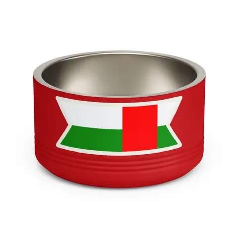 Central African Republic Stripes & Red Cross Pet Bowl — front view