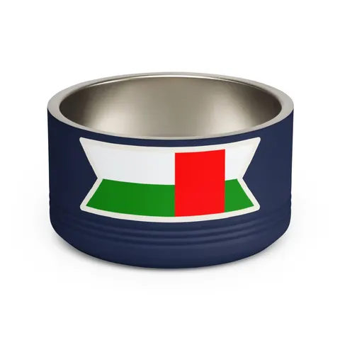 Central African Republic Stripes & Red Cross Pet Bowl — front view