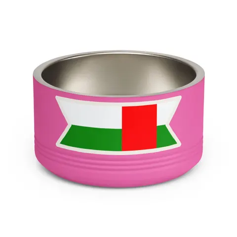 Central African Republic Stripes & Red Cross Pet Bowl — front view