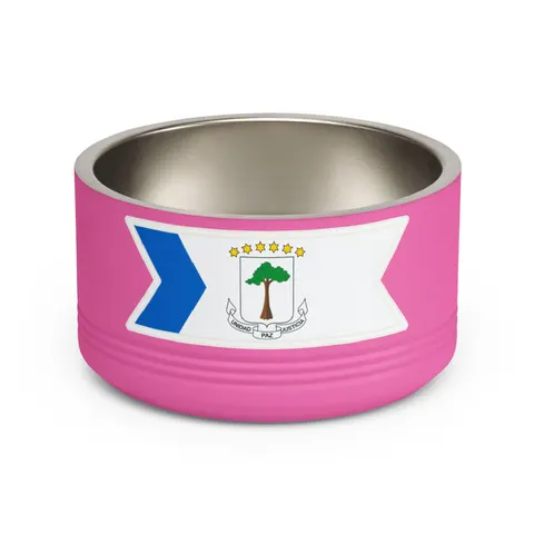 Equatorial Guinea Tricolor & Triangle Pet Bowl — front view