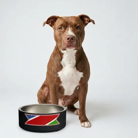 Namibia Diagonal Blue Red Green Pet Bowl