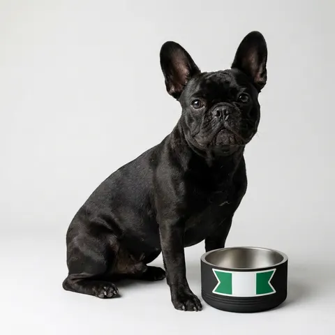Nigeria Green & White Stripes Pet Bowl