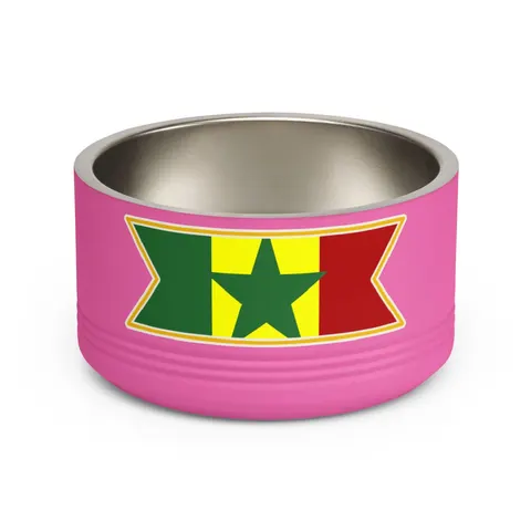 Senegal Green Yellow Red Pet Bowl — front view