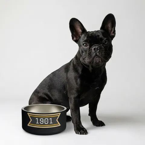 Grambling 1901 Black & Gold Edge Pet Bowl