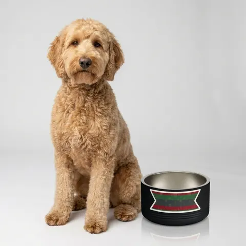 Holiday Kwanzaa Karamu Colors Pet Bowl