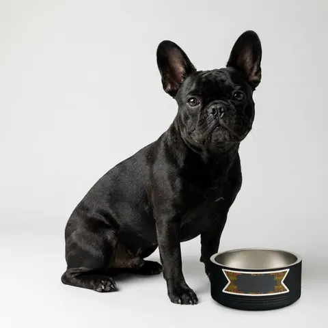 Holiday Kwanzaa Kente Border Pet Bowl