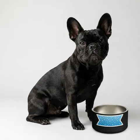 Holiday Snowflake All-Over Pet Bowl
