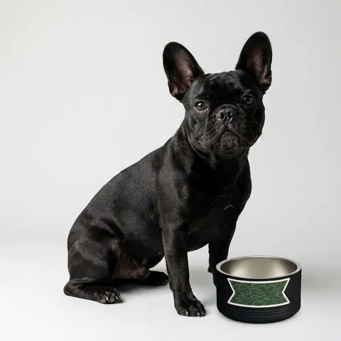 Holiday String Lights on Green Pet Bowl