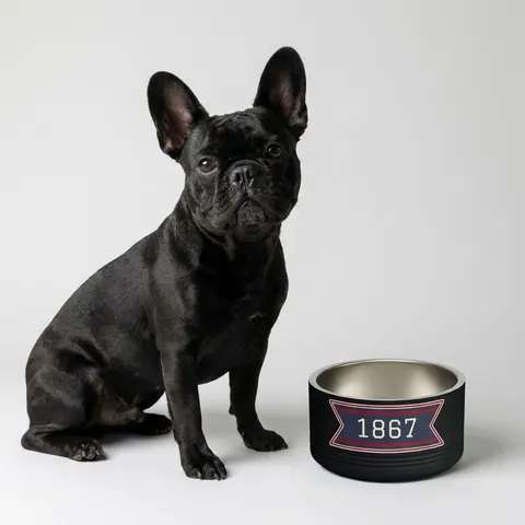 Howard 1867 Navy & Crimson Pet Bowl