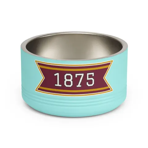 Huston-Tillotson 1875 Maroon & Gold Pet Bowl — front view