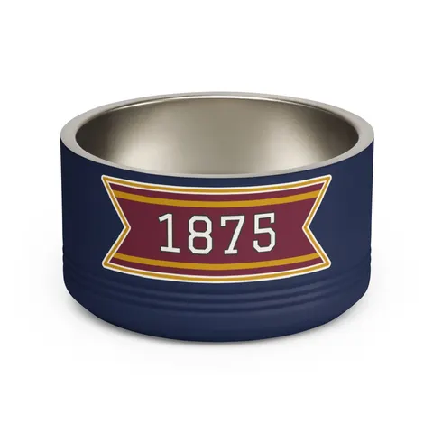 Huston-Tillotson 1875 Maroon & Gold Pet Bowl — front view