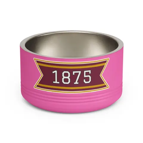 Huston-Tillotson 1875 Maroon & Gold Pet Bowl — front view