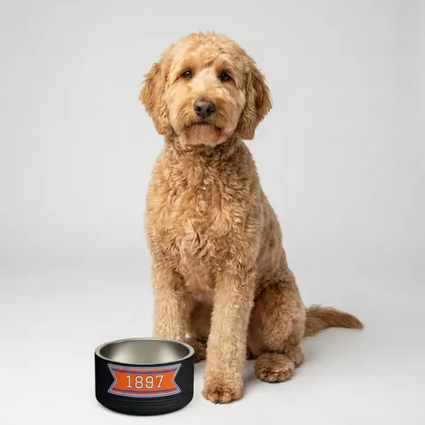 Langston 1897 Orange & Blue Pet Bowl