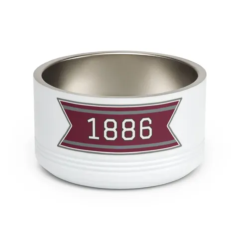 UMES 1886 Maroon & Grey Pet Bowl — front view